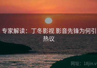 专家解读：丁冬影视 影音先锋为何引热议