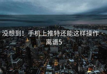 没想到！手机上推特还能这样操作 · 离谱5