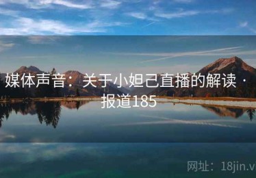 媒体声音：关于小妲己直播的解读 · 报道185