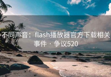 不同声音：flash播放器官方下载相关事件 · 争议520