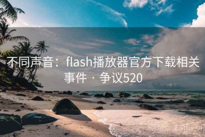 不同声音：flash播放器官方下载相关事件 · 争议520