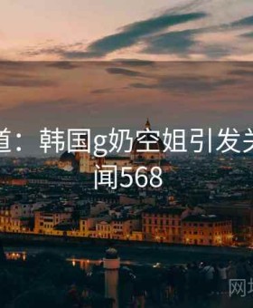 记者报道：韩国g奶空姐引发关注 · 新闻568