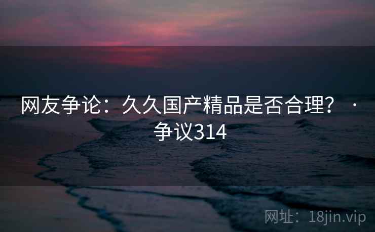 网友争论：久久国产精品是否合理？ · 争议314